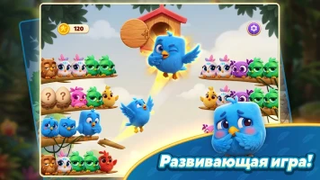 Chirpy Sort: Bird Color Puzzle - скриншот 7