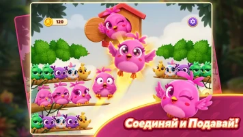 Chirpy Sort: Bird Color Puzzle - скриншот 6