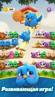 Chirpy Sort: Bird Color Puzzle - скриншот 3